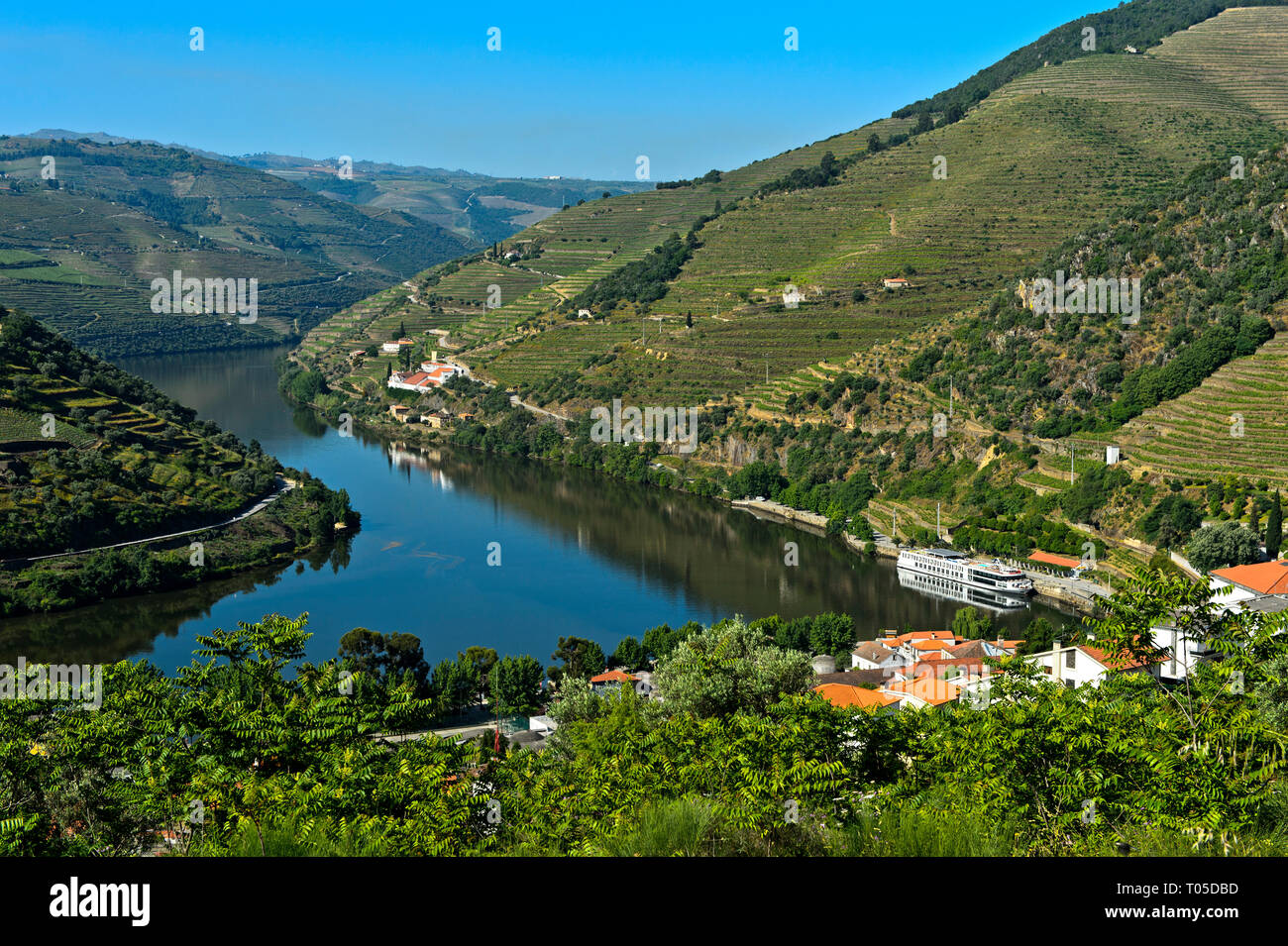 Méandres de la rivière Douro, près de Pinhao, Vallée du Douro, Portugal Banque D'Images