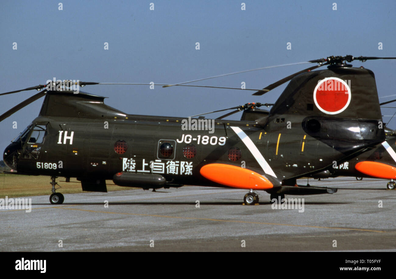 Japanisches Heer JGSDF Kawasaki KV-107 Banque D'Images