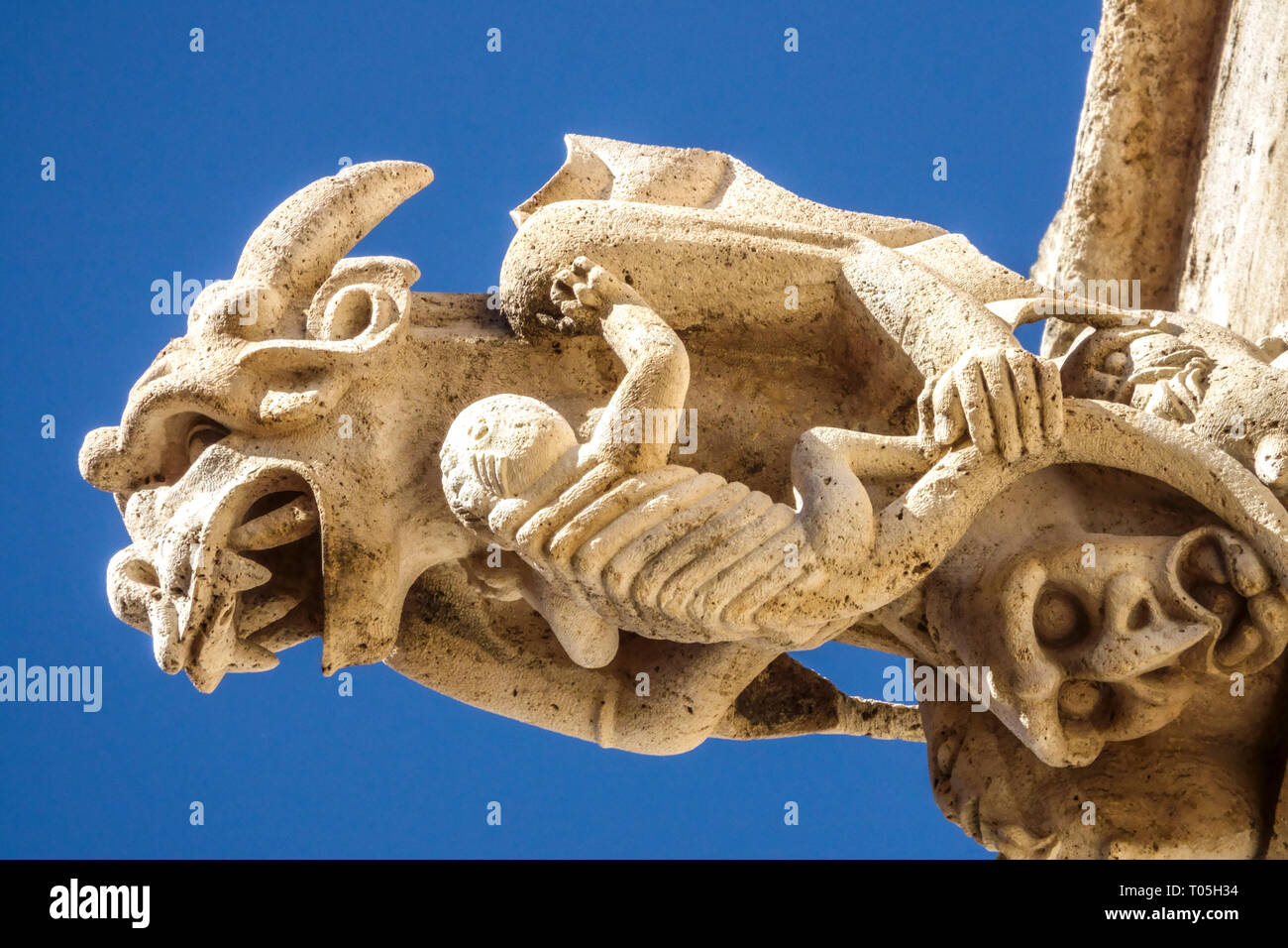 Gargouilles gothiques de la Lonja de la Seda Valencia Silk Exchange Art detail Espagne gargouille gothique Gargoyle médiéval gros plan Banque D'Images