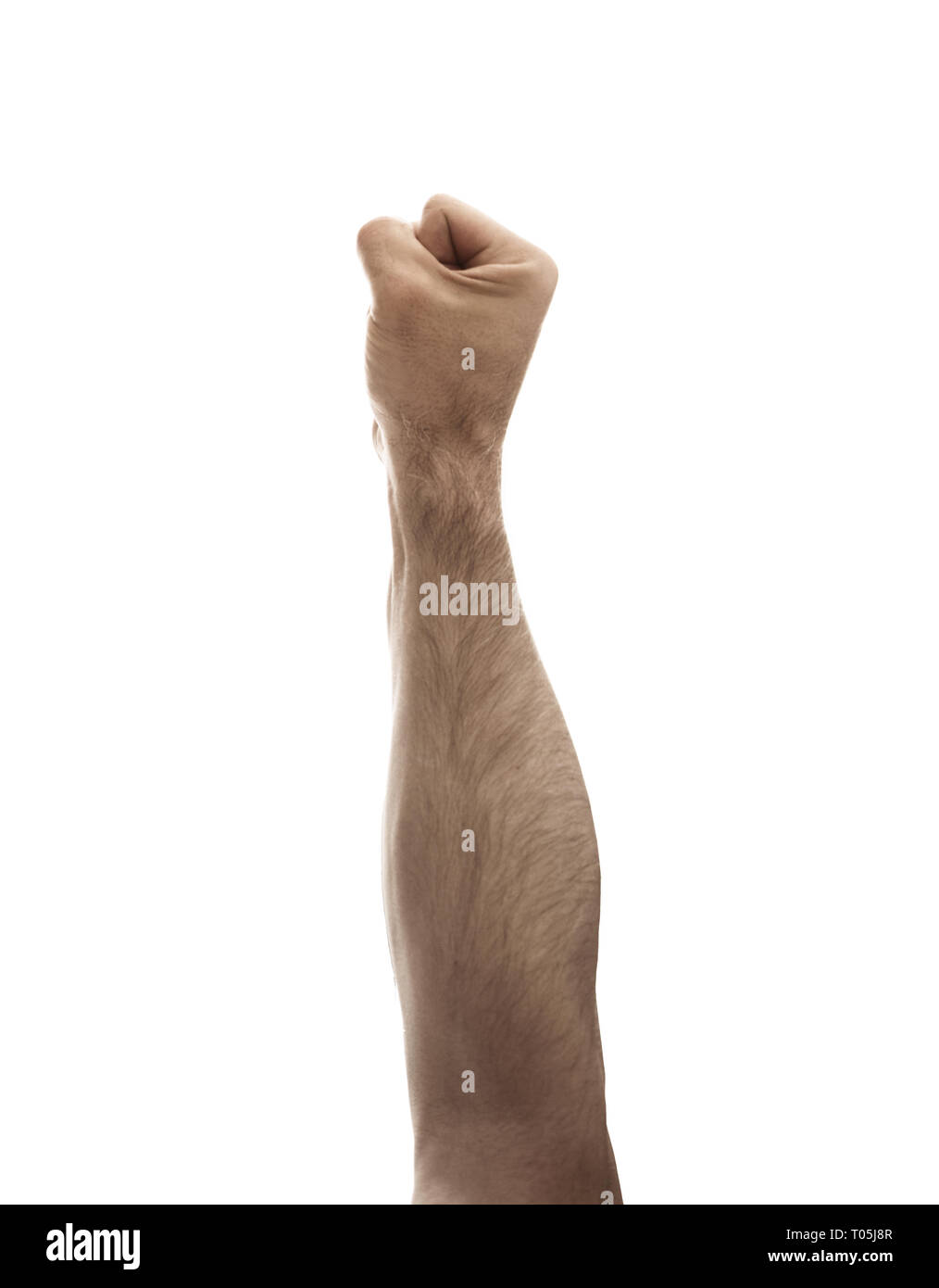 Homme poing sur le blanc, symbole de la violence - fond empy Banque D'Images