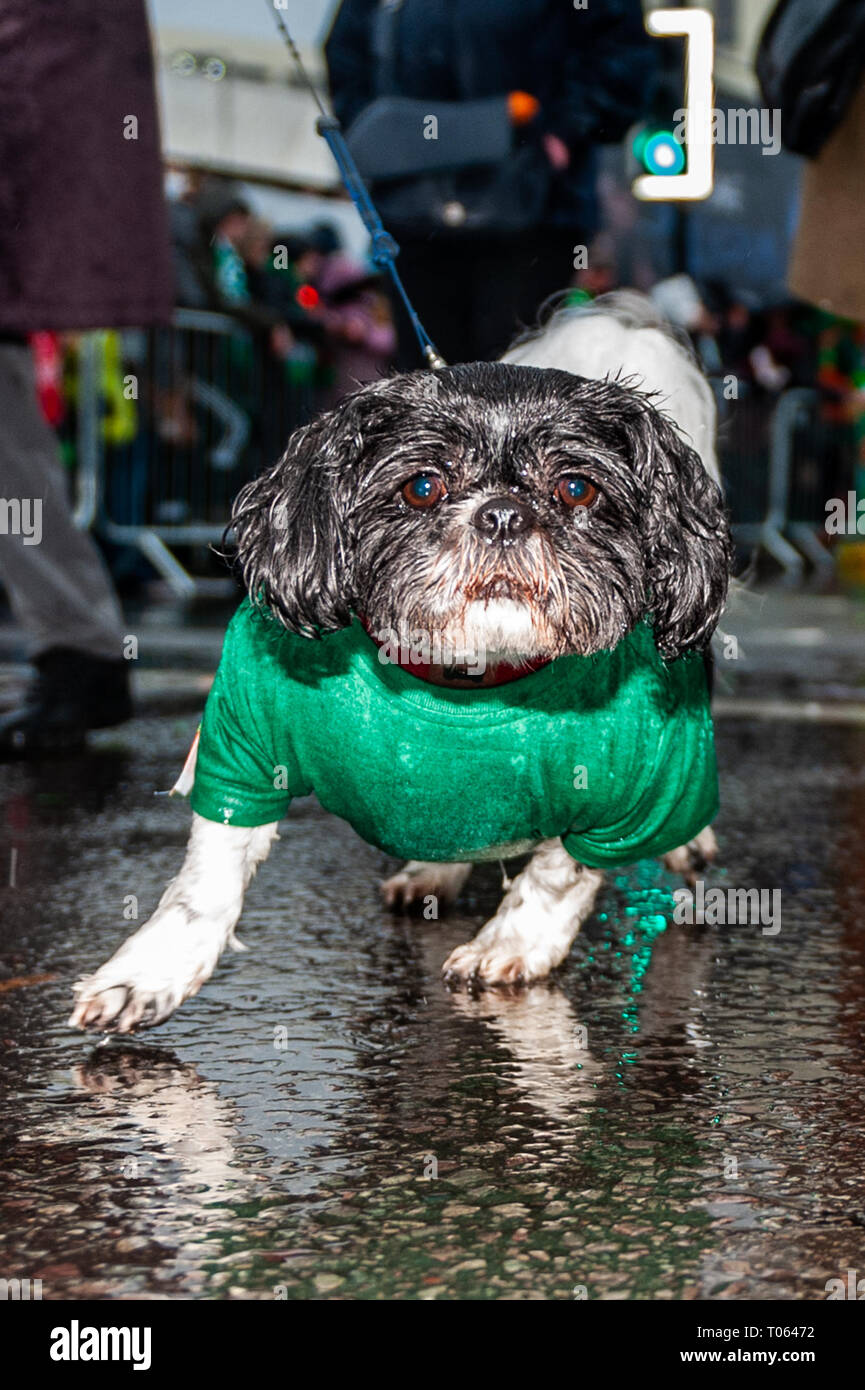 Birmingham, UK. 17 mars, 2019. Le Birmingham St. Patrick's Day Parade a eu lieu aujourd'hui en face de 90 000 personnes au milieu de soleil et grêle forte gratuites. Credit : Andy Gibson/Alamy Live News. Banque D'Images
