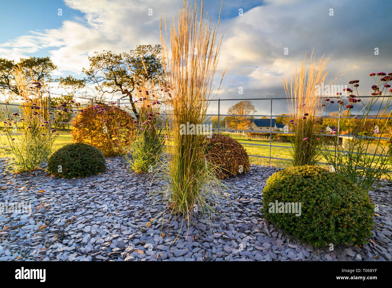 La couleur en automne dans le magnifique jardin privé - élégant et contemporain, l'aménagement paysager, la plantation et ardoise jetons sur border rural (Yorkshire, Angleterre, Royaume-Uni) Banque D'Images