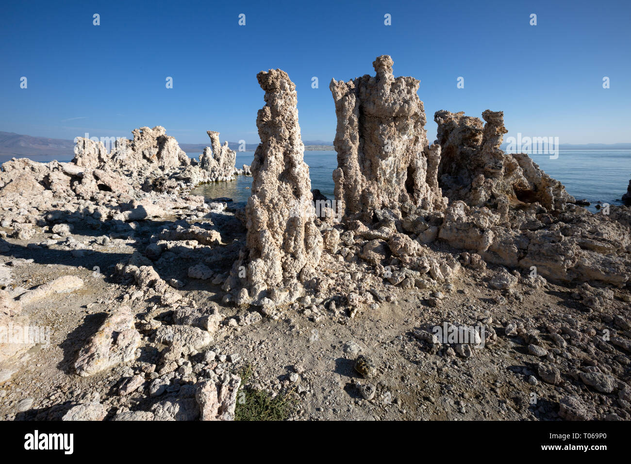 Groupes de tuf calcaire des tours dans le tuf du Sud, région du lac Mono, Mono County, Californie, Amérique Latine Banque D'Images