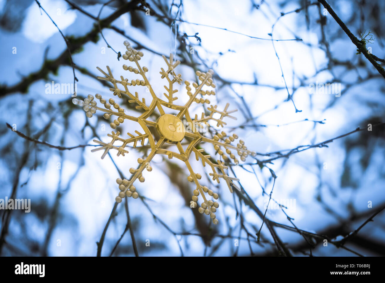 Flocon d'or tree ornament hanging sur un arbre dans une forêt de neige, hiver, gros plan. Sur Noël, les vacances, l'heure d'hiver et le froid. Banque D'Images