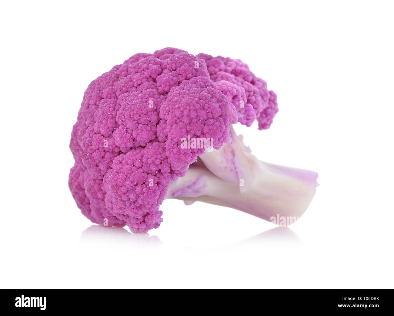 Purple brassica oleracea isolé sur fond blanc Banque D'Images