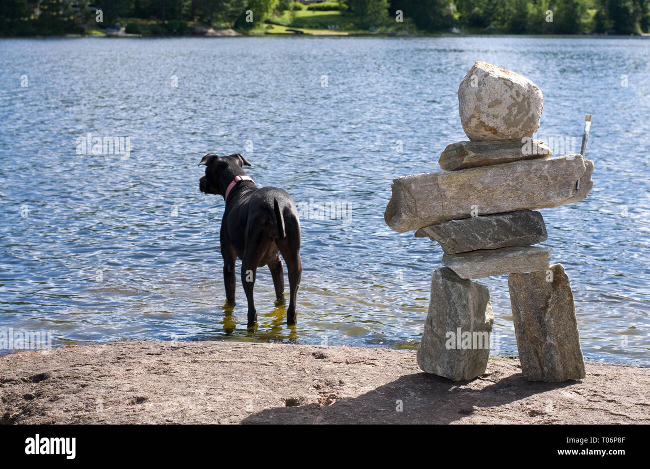 Beau chien noir debout à côté d'Inuksuk tenant un pinceau au bord du Lac Banque D'Images