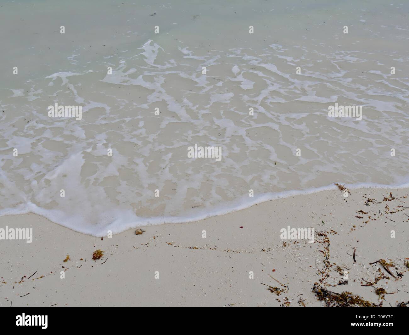 Les vagues claires contre le sable fin blanc dans une plage tropicale Banque D'Images