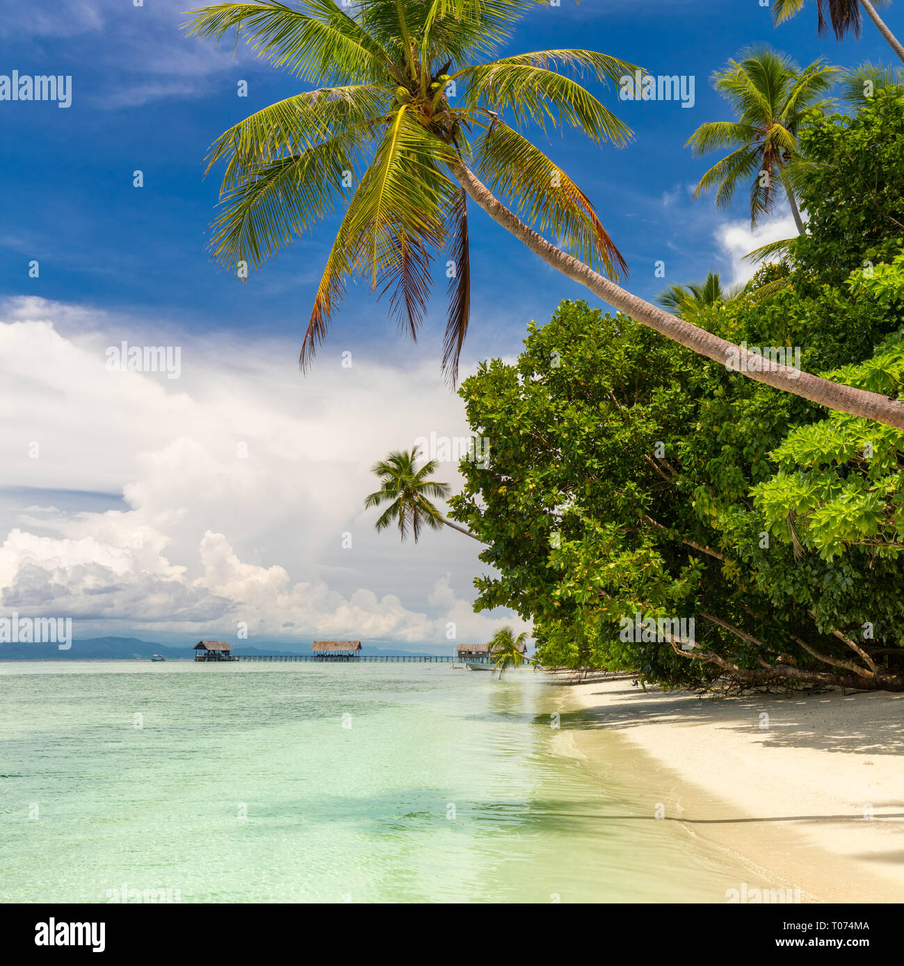 Paradise tropical beach. Personne n. Vue du paradis tropical beach de cocotiers. Maison de vacances et locations de concept. L'île tropicale, de l'océan et de ciel bleu Banque D'Images