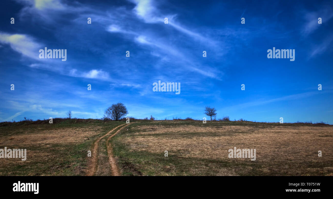 Hiver sec prairie avec chemin de terre et ciel bleu Banque D'Images