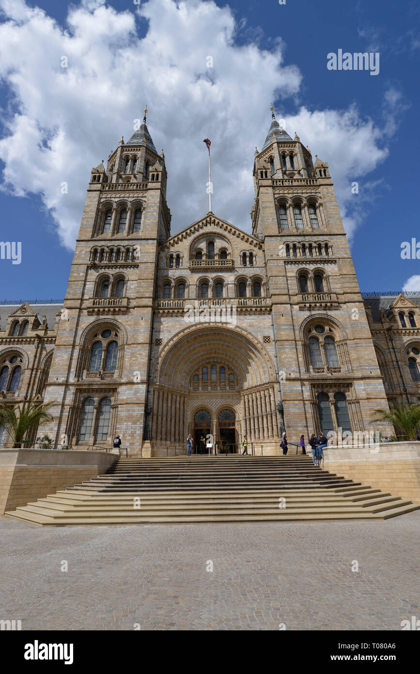 Natural History Museum, Cromwell Road, Kensington, Londres, Angleterre, Grossbritannien Banque D'Images