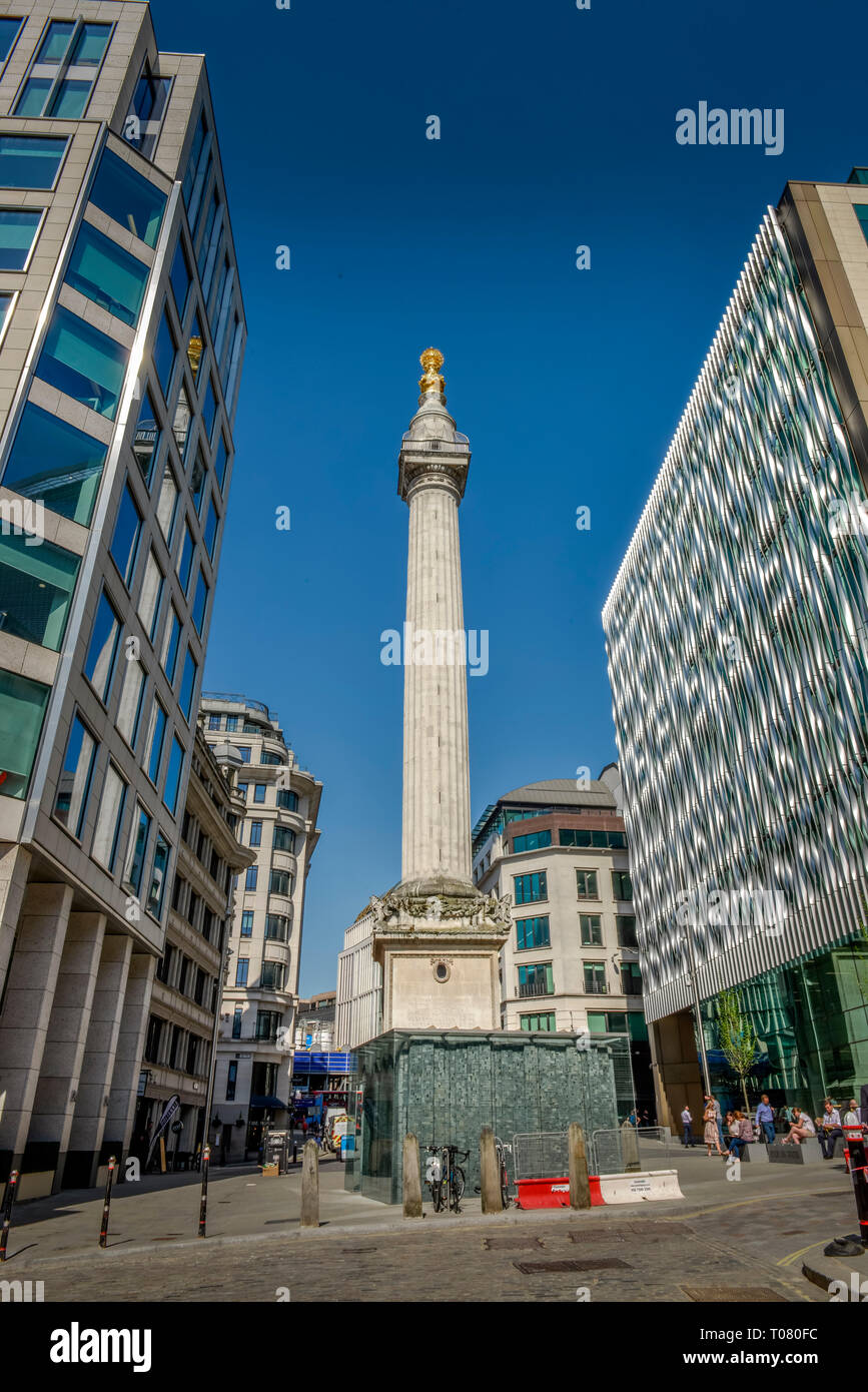 Monument au Grand Incendie de Londres, le poisson Street, Londres, Angleterre, Grossbritannien Banque D'Images