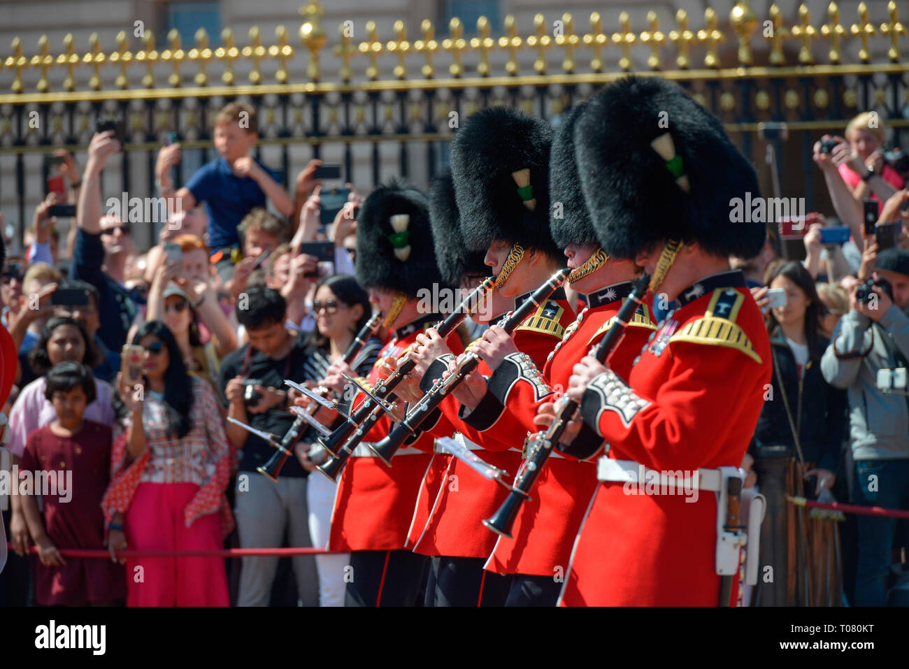Band, la relève de la garde, Buckingham Palace, Londres, Angleterre, Grossbritannien Banque D'Images
