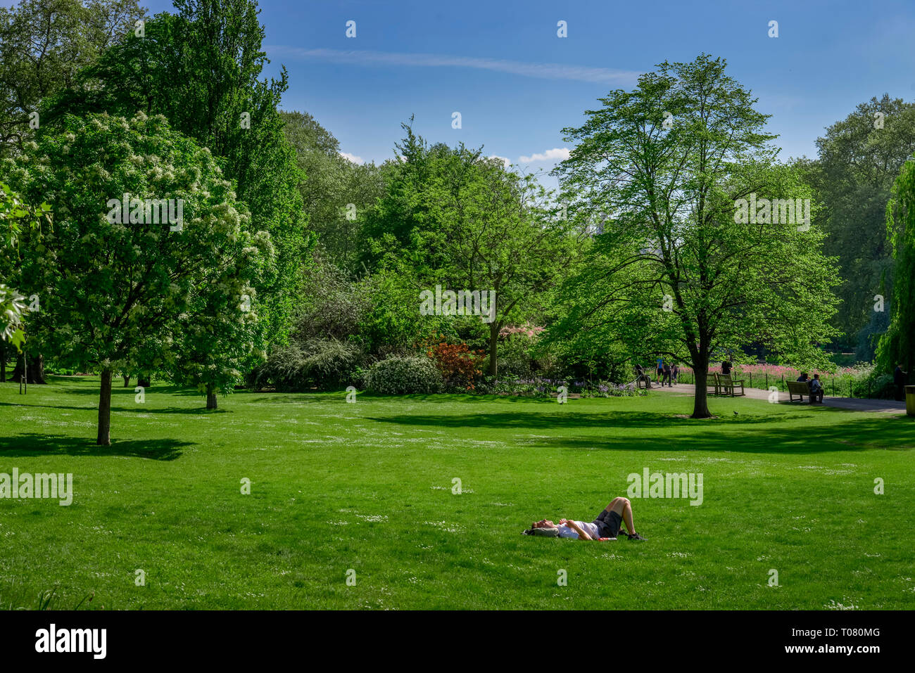 St James's Park, Londres, Angleterre, Grossbritannien Banque D'Images