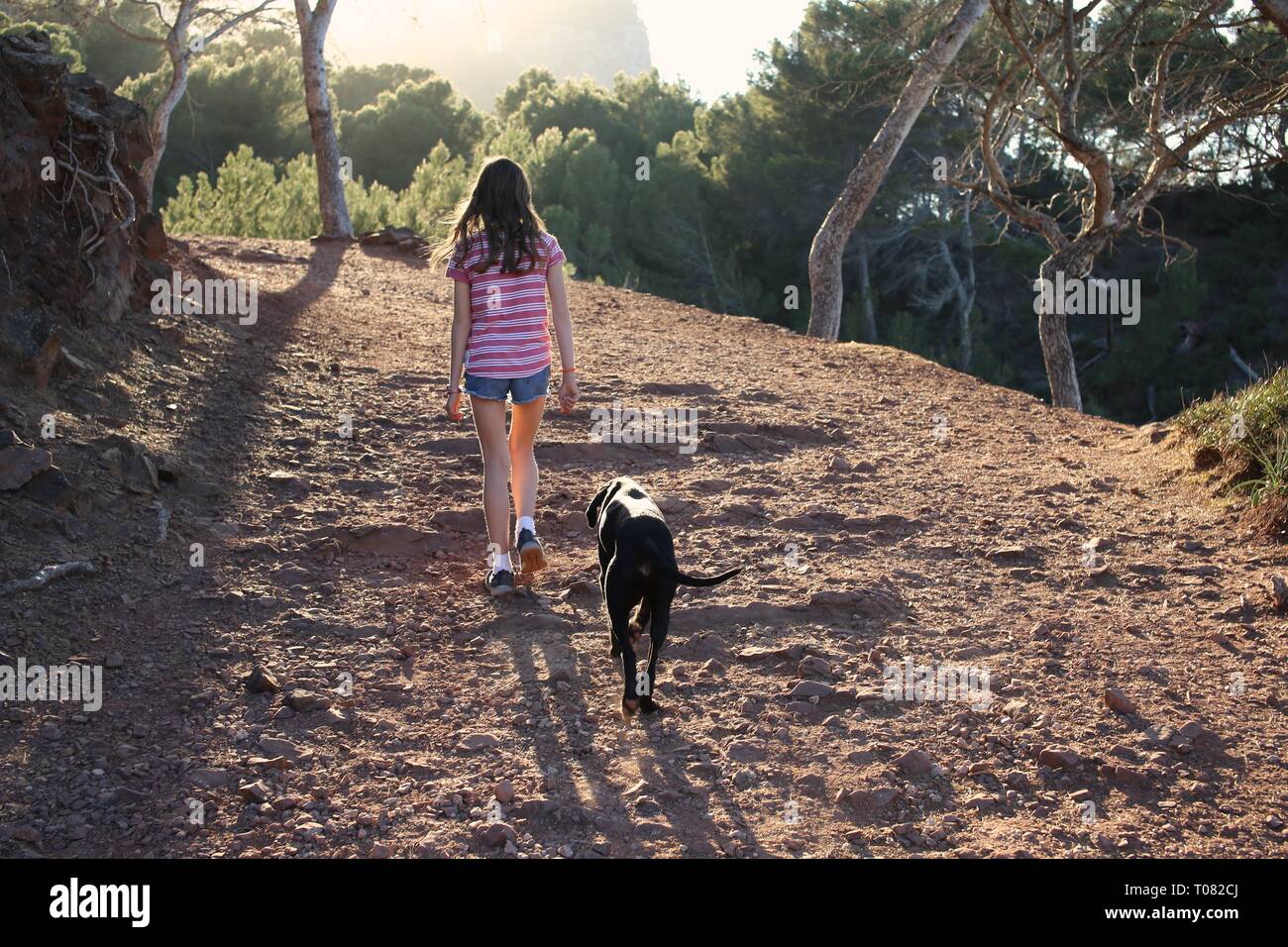 Vue arrière de l'adolescente en été sur une randonnée en forêt avec son chien Banque D'Images