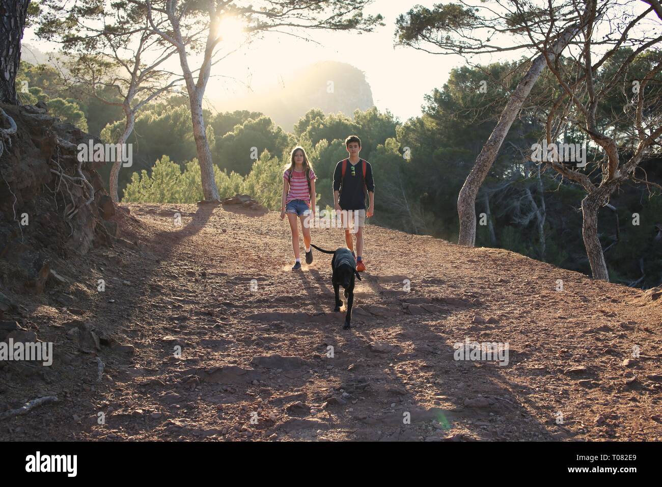 Les adolescents heureux et chien dehors marcher en forêt Banque D'Images