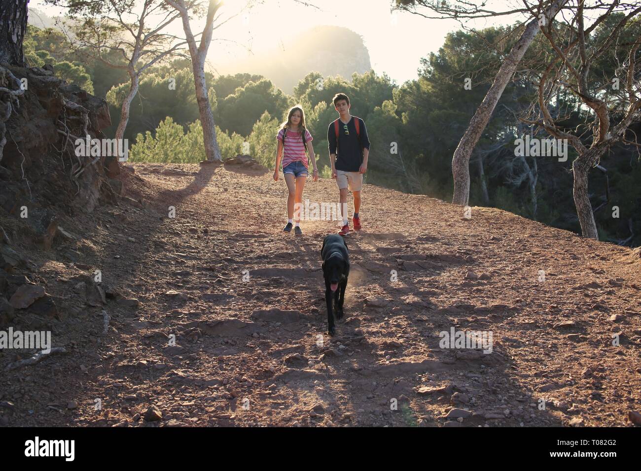 Les adolescents de la randonnée avec chien qui court à l'avant dans l'aménagement forestier Banque D'Images