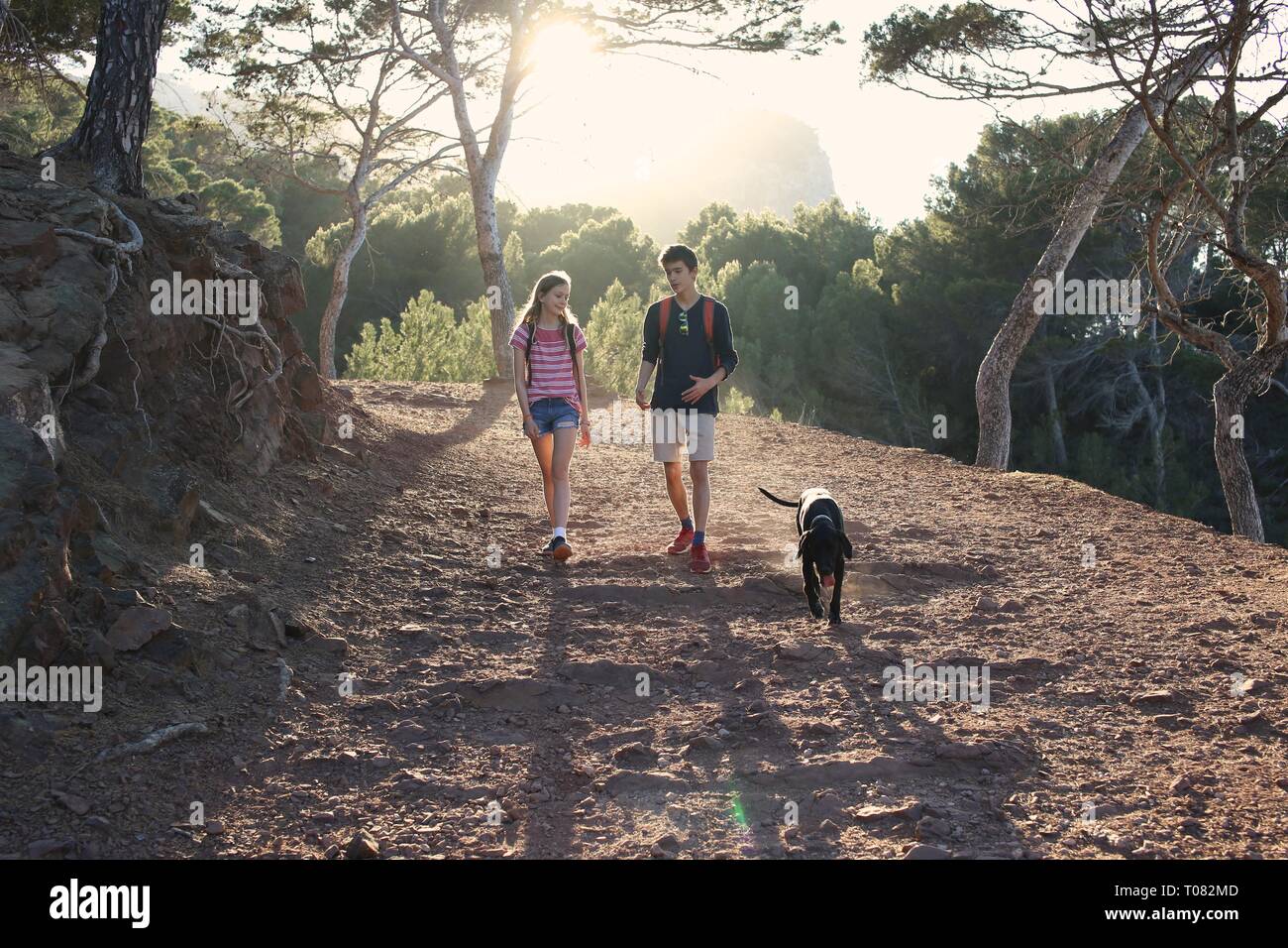 Frère et soeur de la randonnée avec leur chien dans la forêt au coucher du soleil Banque D'Images