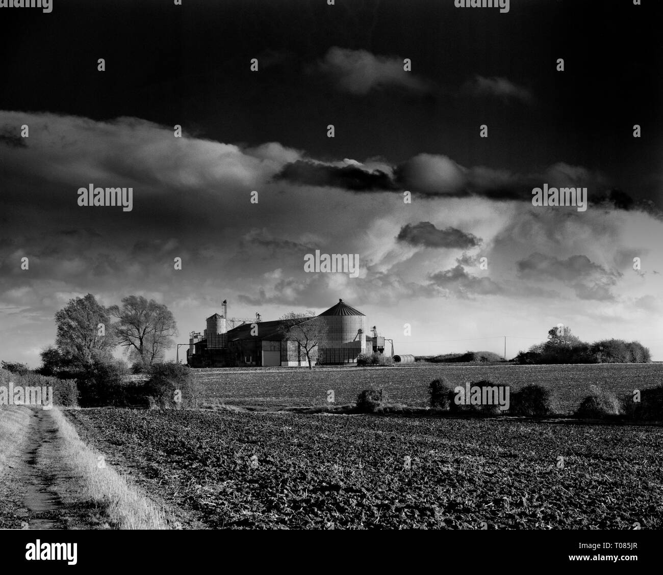 Ciel d'orage sur silo à grains près de Little Gransden Airfield Cambridgeshire Angleterre Banque D'Images