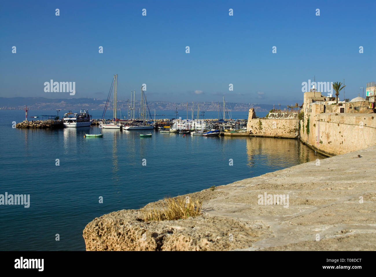 Ancien fort et port, Akko, Israël Banque D'Images