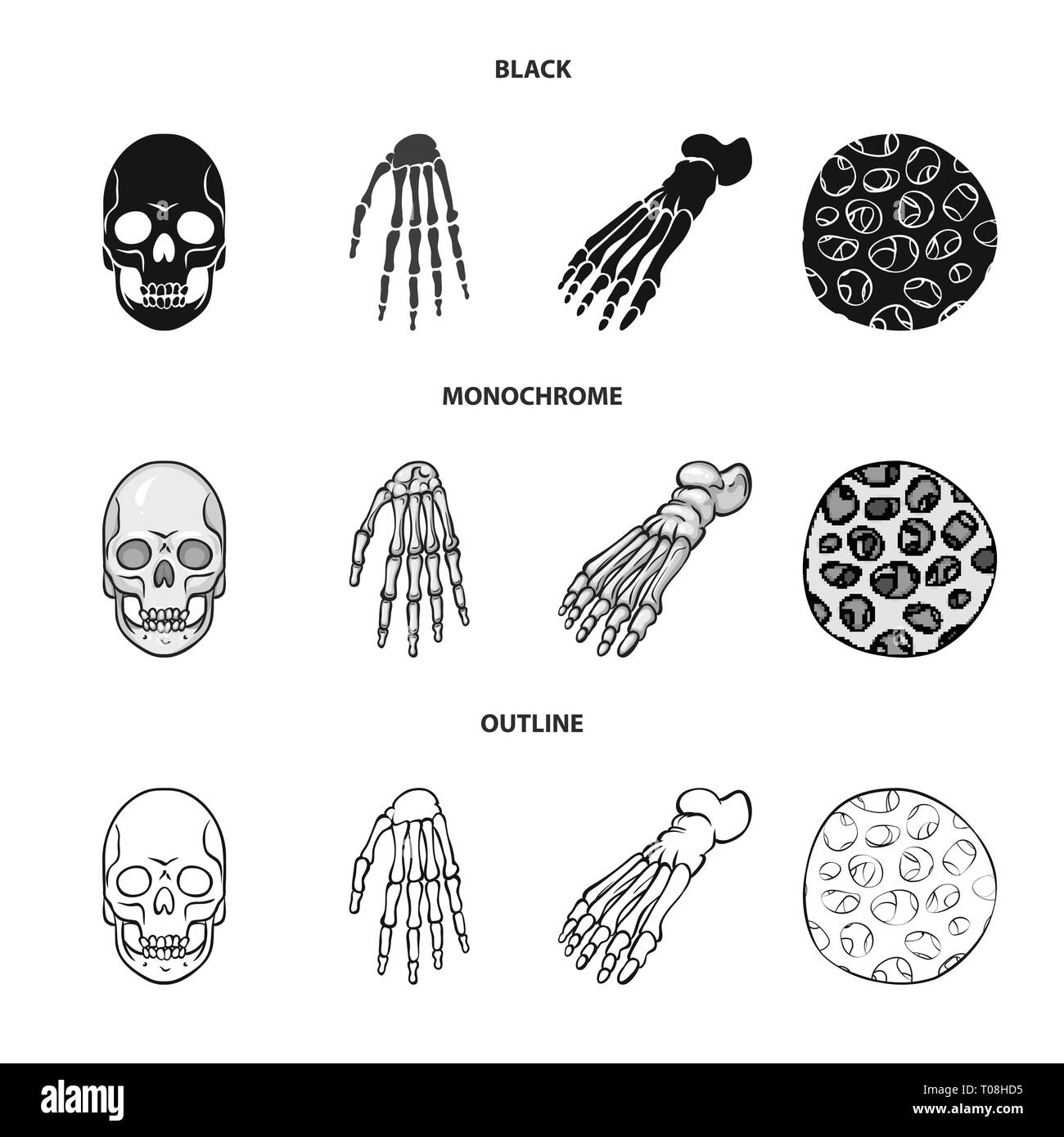Crâne,poignet,foot,mort,fibres,vente,cheville,sain,monster,calcium ...