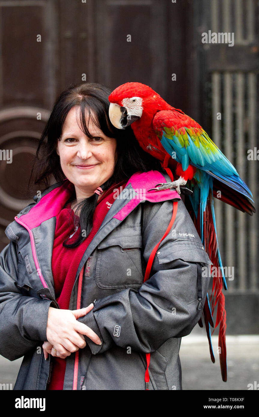 Une femme marche sur le centre-ville avec un vrai perroquet sur son épaule s'arrête d'avoir sa photo prise à Dundee, Royaume-Uni Banque D'Images