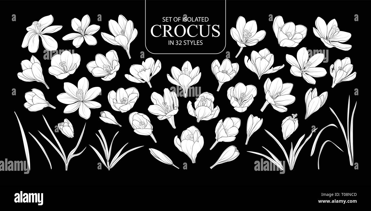 Ensemble de silhouette blanche isolée dans 32 Crocus styles. Cute vector illustration fleur dessiné à la main en avion blanc sans contours sur fond noir. Illustration de Vecteur