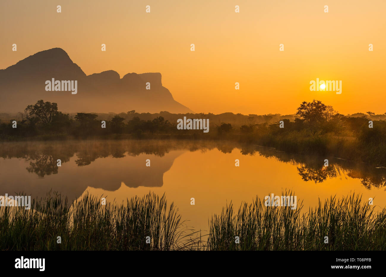 La pendaison lèvre ou Hanglip pic de montagne au lever du soleil dans la brume et le brouillard par un marais, le lac Entabeni Safari Game Reserve, province du Limpopo, Afrique du Sud. Banque D'Images