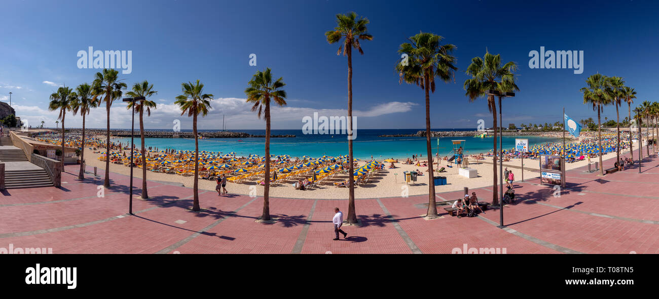 Maison de plage avec des palmiers à Amadores, Gran Canaria, Îles Canaries Banque D'Images