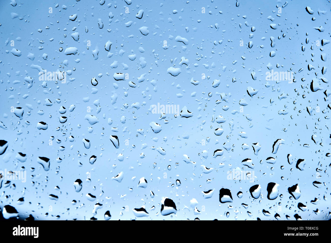 Gouttes de pluie sur windows Banque D'Images