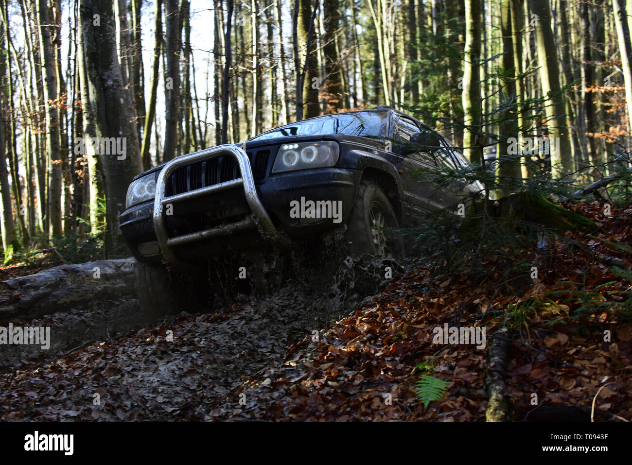 Véhicule utilitaire sport SUV ou surmonter les obstacles. Course automobile en forêt d'automne course de moto-cross sur la nature automne arrière-plan. La concurrence, de ralliement et de quatre Banque D'Images