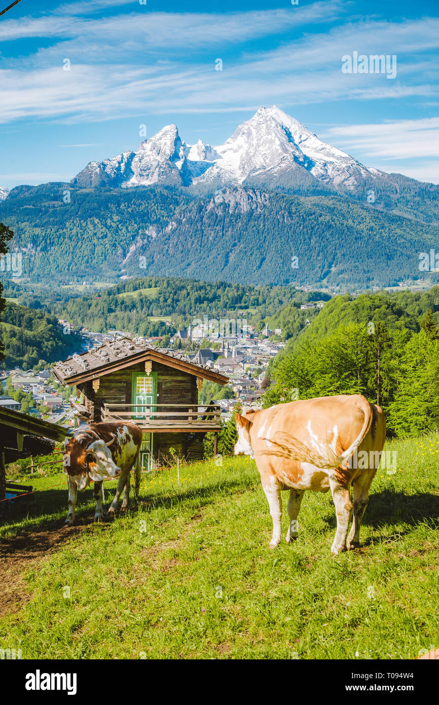 Belle vue panoramique sur un paysage alpin idyllique avec chalets de montagne traditionnels et des vaches paissant sur des prairies vertes sur une belle journée ensoleillée avec bl Banque D'Images