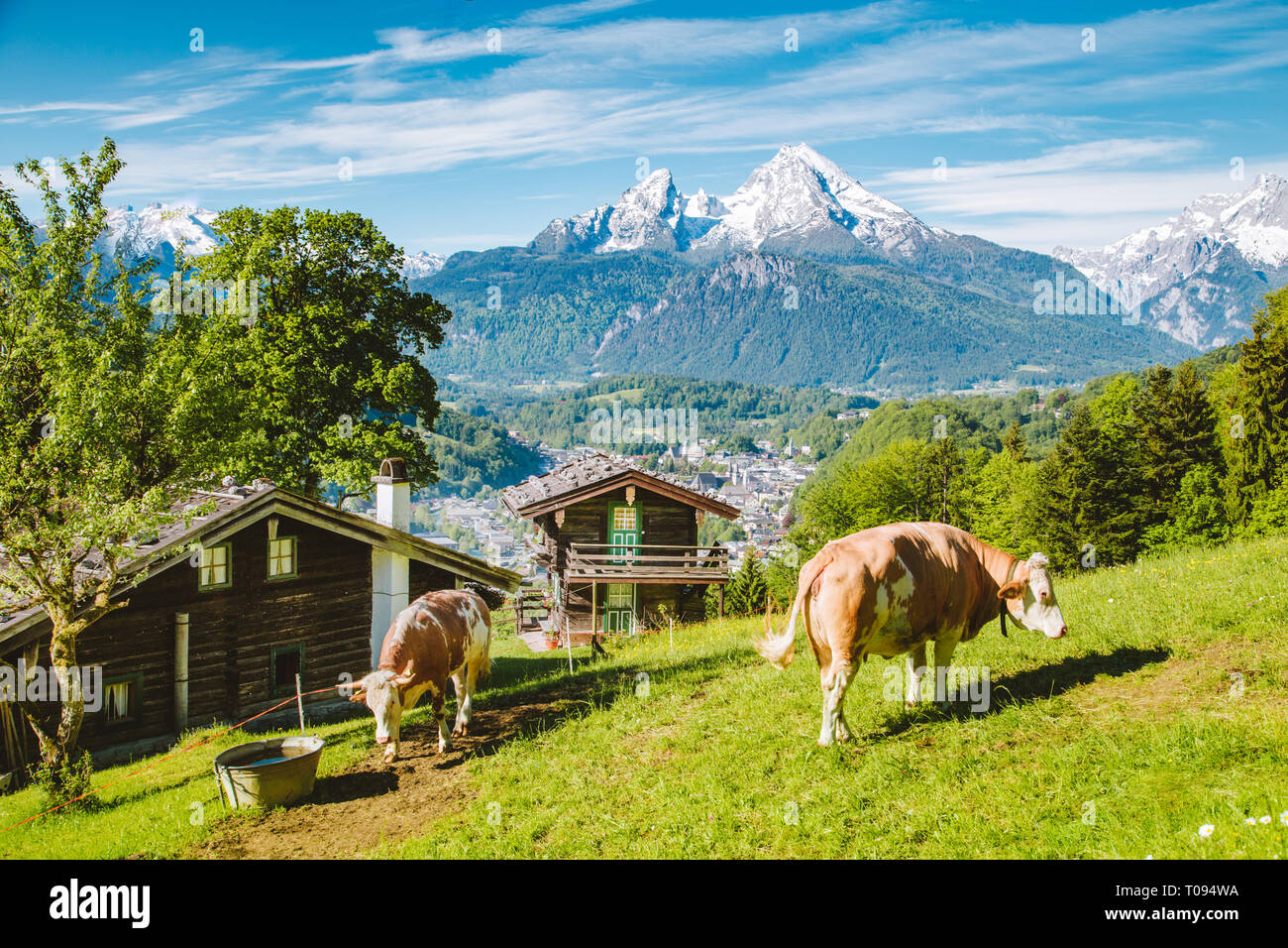 Belle vue panoramique sur un paysage alpin idyllique avec chalets de montagne traditionnels et des vaches paissant sur des prairies vertes sur une belle journée ensoleillée avec bl Banque D'Images