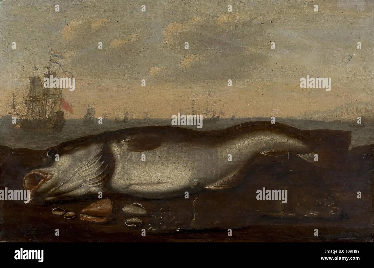 'Les poissons et coquillages sur une rive de la mer'. Holland, 1649. Dimensions : 46x68,5 cm. Musée : Etat de l'Ermitage, Saint-Pétersbourg. Auteur : ADAM WILLAERTS . Willem Ormea. Banque D'Images