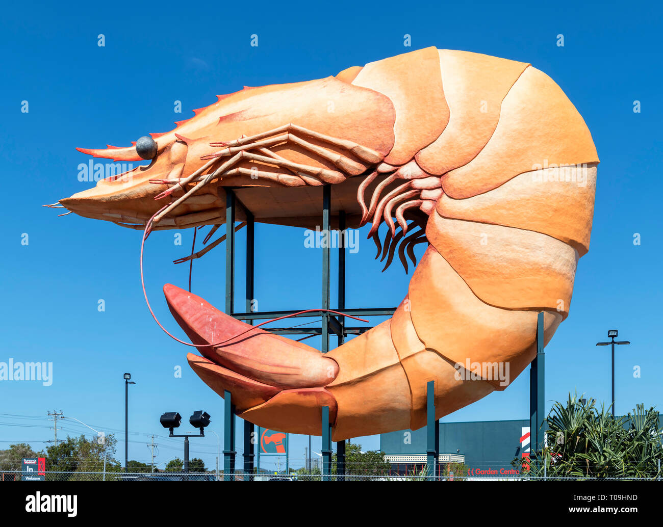 Le Big Prawn à Ballina, New South Wales, Australie Banque D'Images