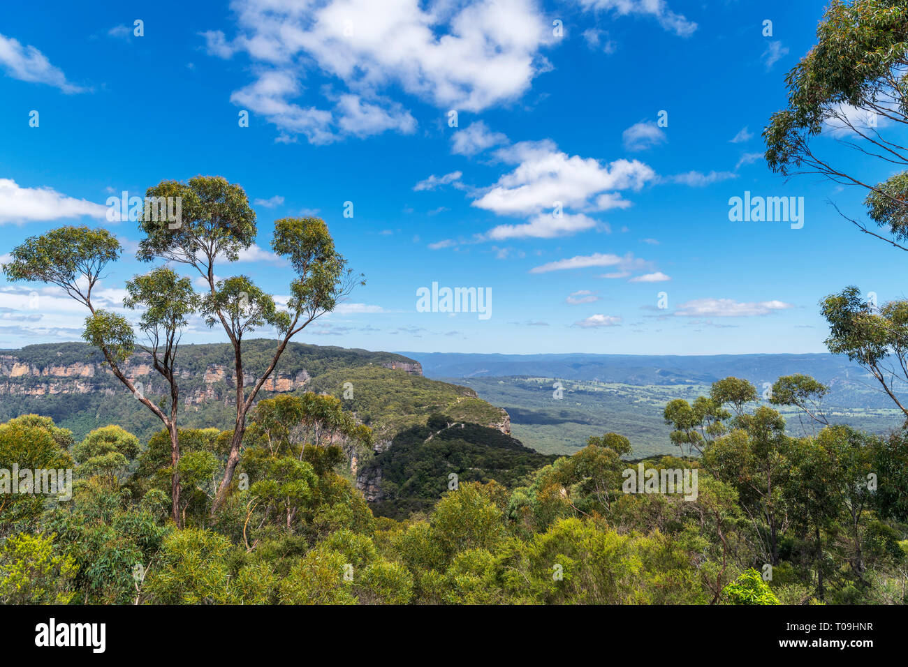 Blue Mountains, Australie. Vue sur les Montagnes Bleues de l'affût à col étroit, Katoomba, New South Wales, Australie Banque D'Images