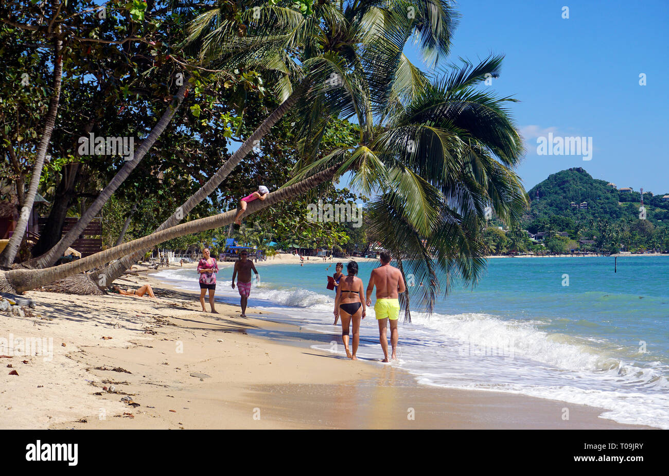 Les gens à travers un palmier, Lamai Beach, Koh Samui, Golfe de Thailande, Thaïlande Banque D'Images