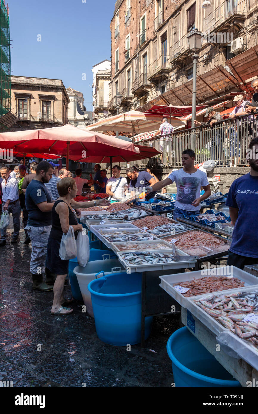 La Pescheria marché aux poissons en semaine sur la Piazza Alonzo di Benedetto, Catane, Sicile, Italie Banque D'Images