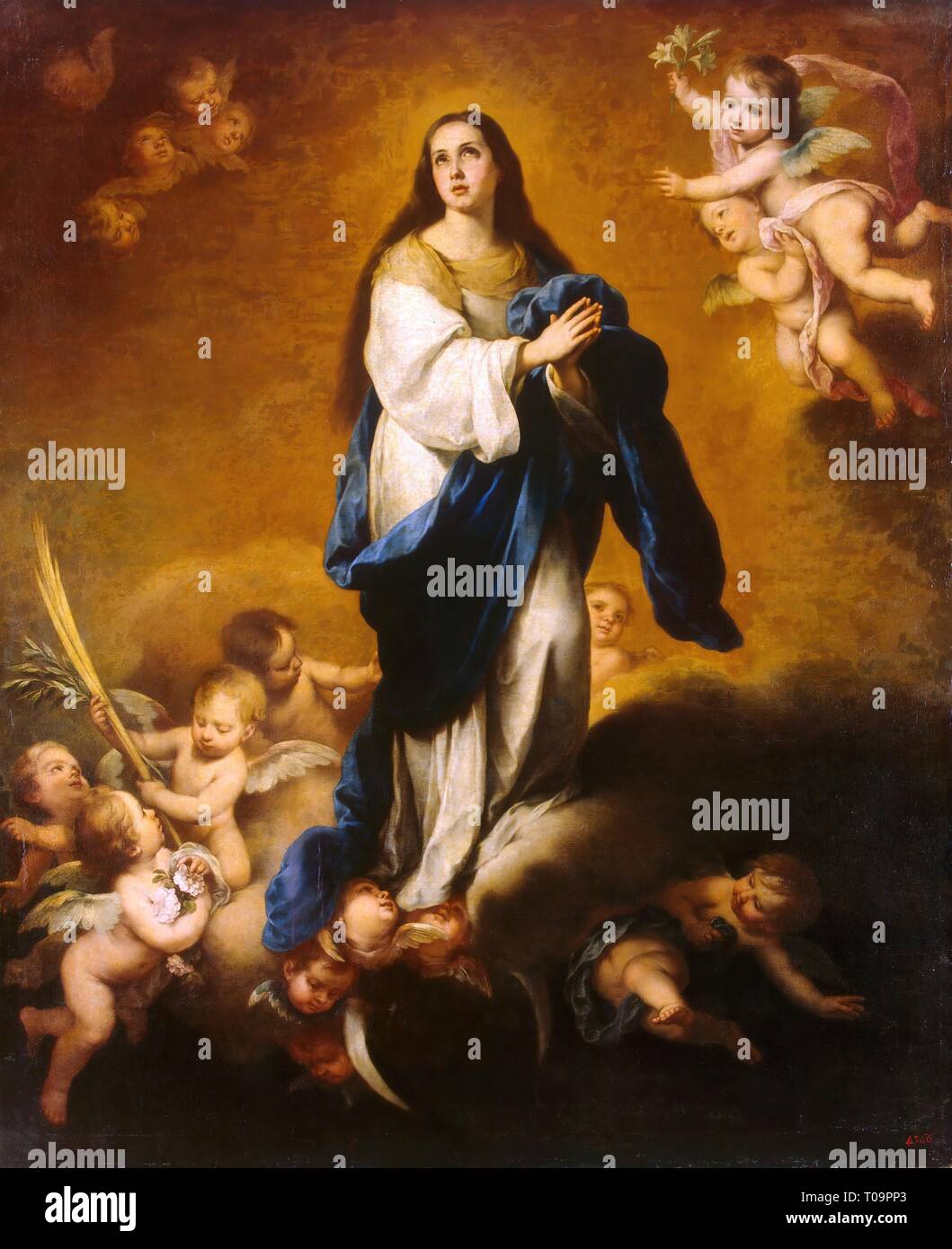 Esquilache "Immaculée Conception". L'Espagne, entre 1645 et 1655. Dimensions : 235x196 cm. Musée : Etat de l'Ermitage, Saint-Pétersbourg. Auteur : Bartolomé Esteban Murillo. Banque D'Images