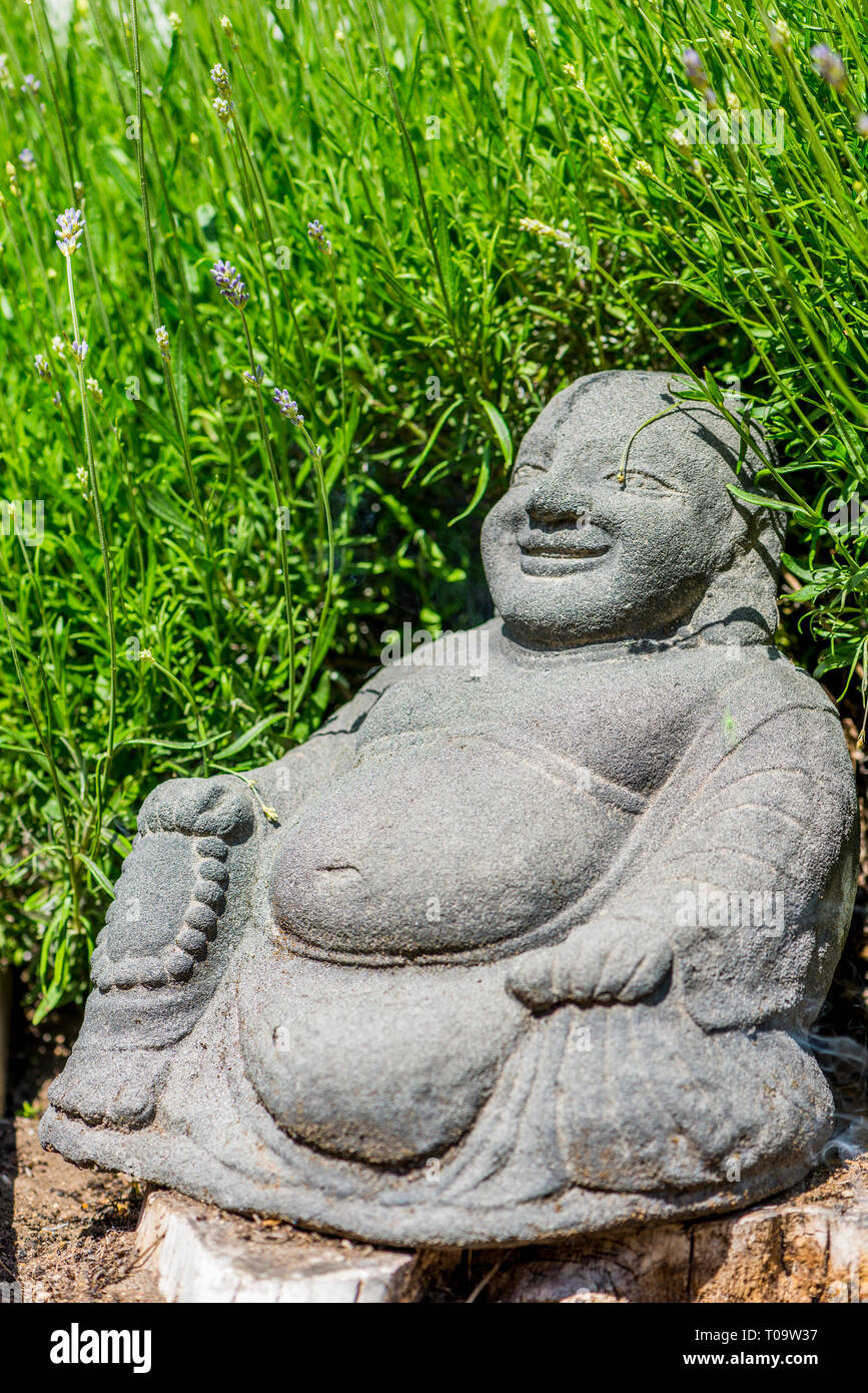 Laughing Buddha statue, en face de lavande bush Banque D'Images