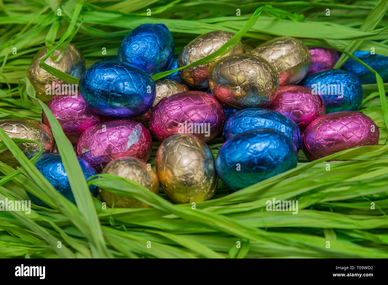 Oeufs de Pâques en chocolat cachés dans l'herbe Banque D'Images