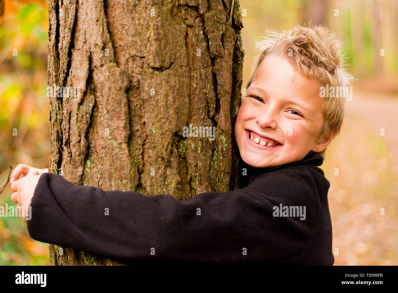 Enfant dans une forêt serrant un arbre Banque D'Images