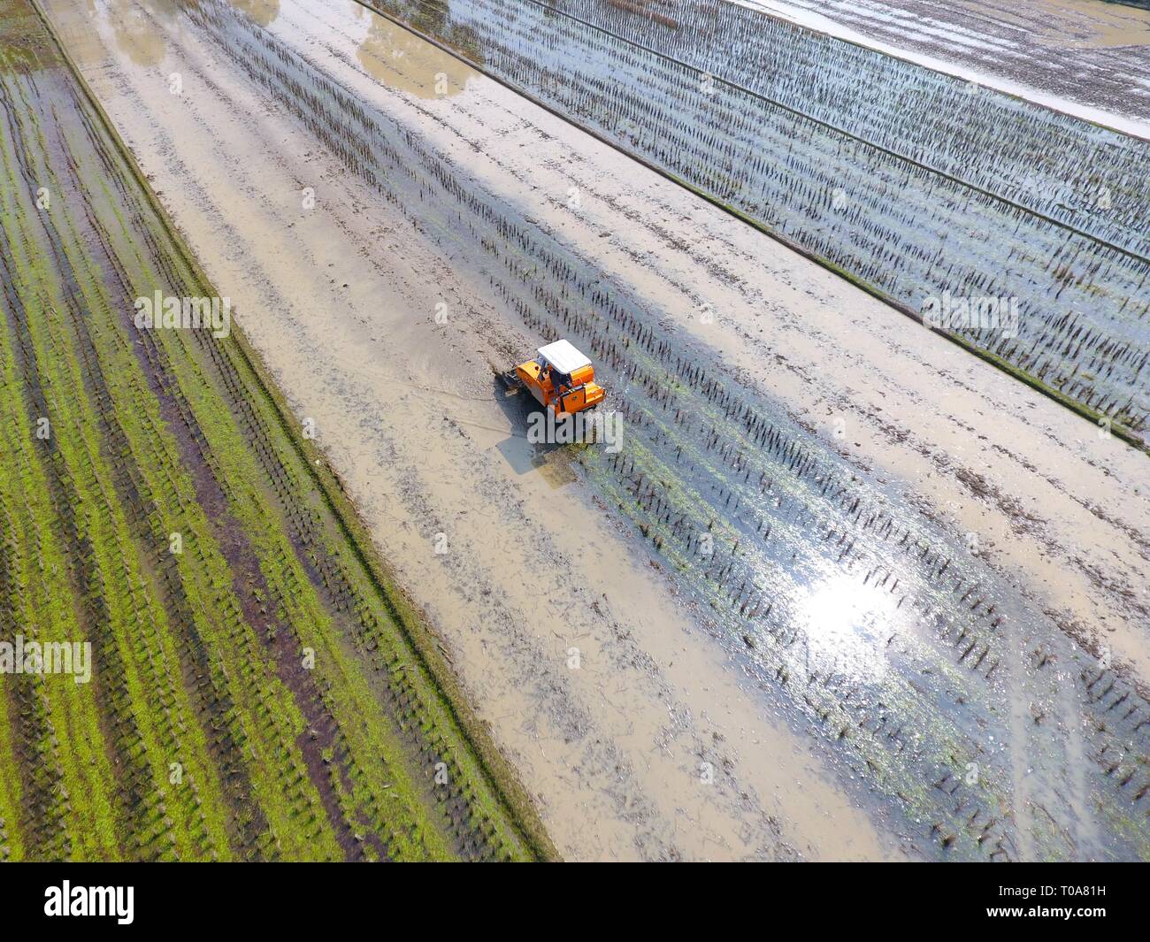 Loudi. 18 Mar, 2019. Photo aérienne prise le 18 mars 2019 montre une exploitation de machines agricoles à un champ dans Shengji, Village, Ville Jingzi Shuangfeng County, le centre de la Chine, dans la province de Hunan. Crédit : Li Jianxin/Xinhua/Alamy Live News Banque D'Images