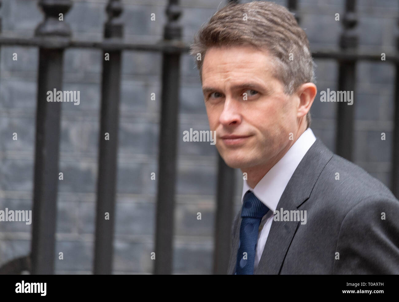Londres, Royaume-Uni. 19 mars 2019, Gavin Williamson, MP PC, Secrétaire à la défense, se présente à une réunion du Cabinet au 10 Downing Street, Londres, Royaume-Uni. Crédit : Ian Davidson/Alamy Live News Banque D'Images