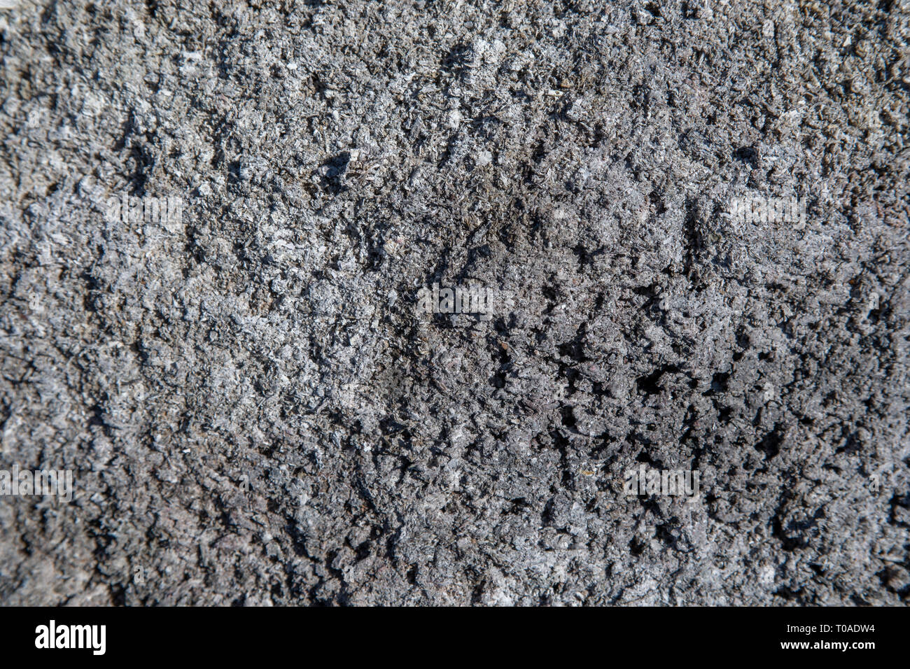 Close Up de cendres gris éparpillés sur le terrain Banque D'Images