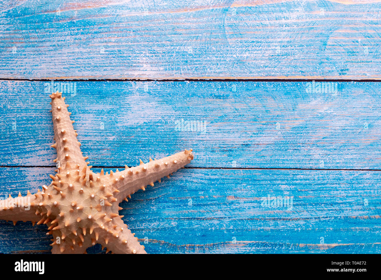 Vue de dessus de la grande étoile de mer sur fond texturé bois bleu - avec copie espace - l'heure d'été et de vacances toile concept Banque D'Images