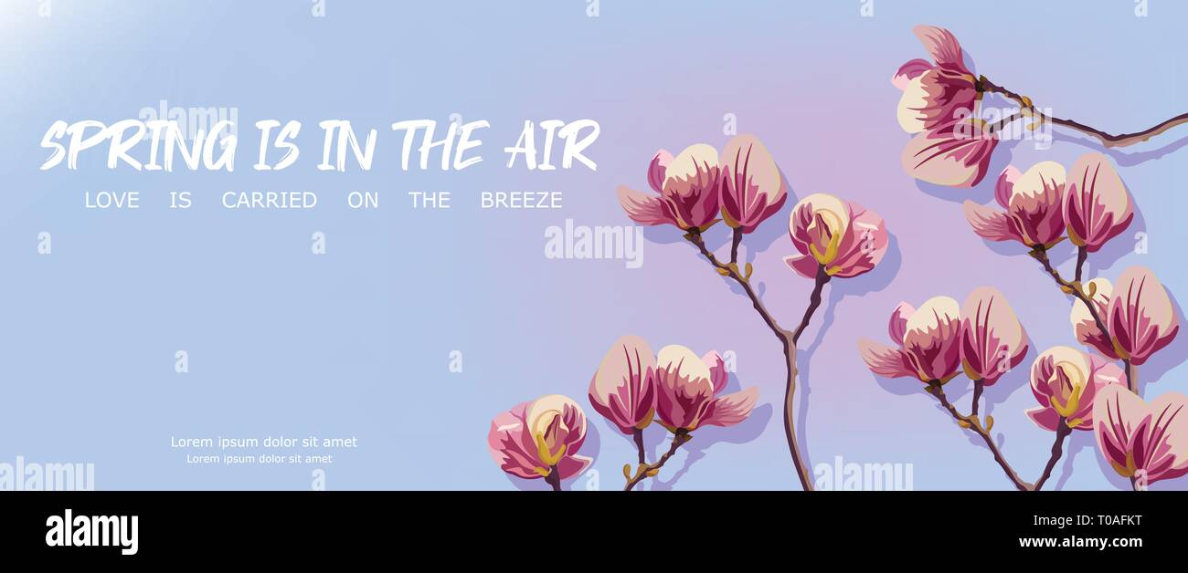 Magnolia fleurs printemps vecteur. Beaux modèles de cartes. Fond bleu Illustration de Vecteur