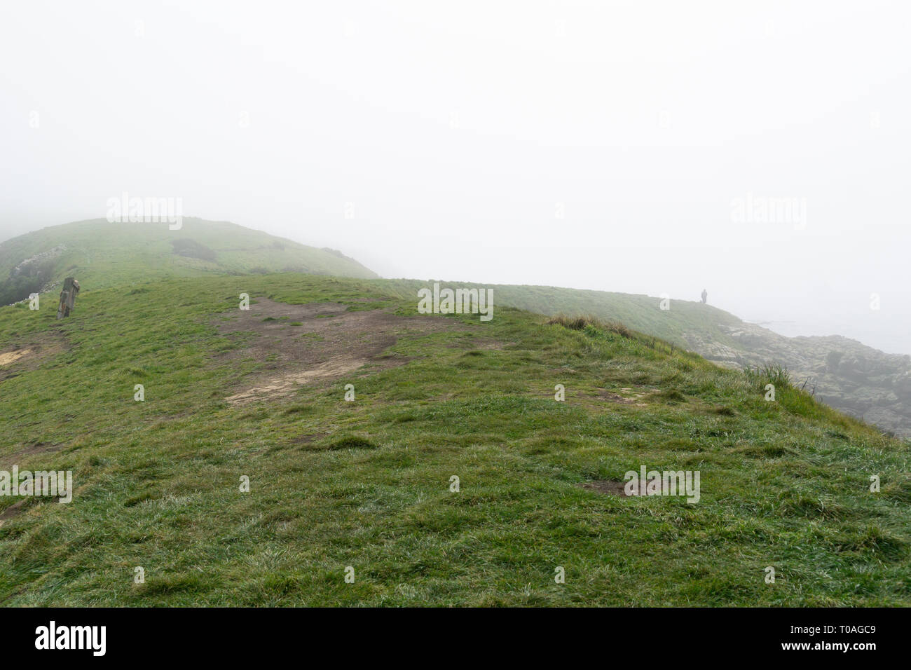 Petite figure de lointain personne méconnaissable sur colline dans la brume avant le lever du soleil au point Katiki Moeraki en Nouvelle-Zélande. Banque D'Images