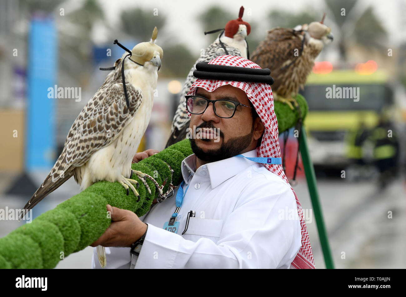 L'Arabie Falconer en Arabie Saoudite Banque D'Images