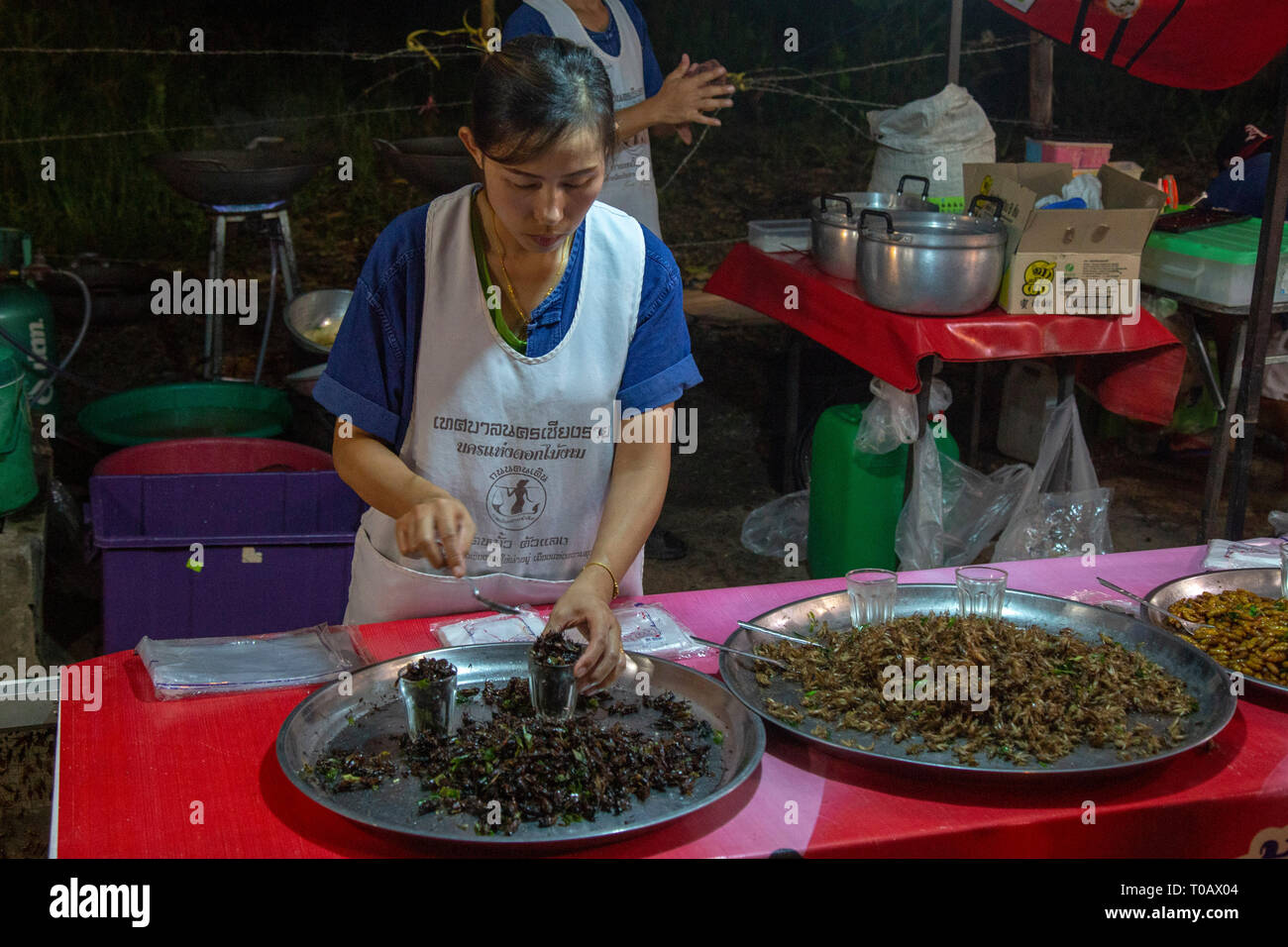 Préparation des insectes à manger à la marché de nuit de Chiang Rai Banque D'Images