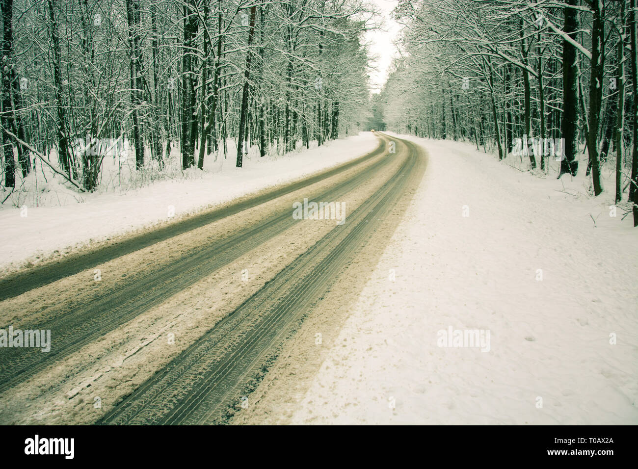 Route à travers la forêt couverte de neige - hiver voir Banque D'Images